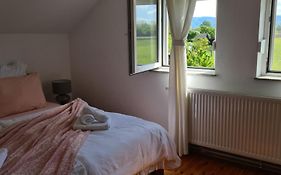 Apartman Jugi